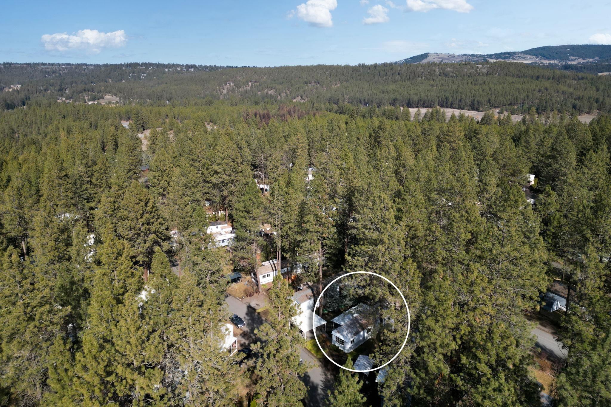 8900 South Mullen Hill Road, Unit 10 Spokane, WA 99224 - Photo 9 of 35 Gallery Image 9