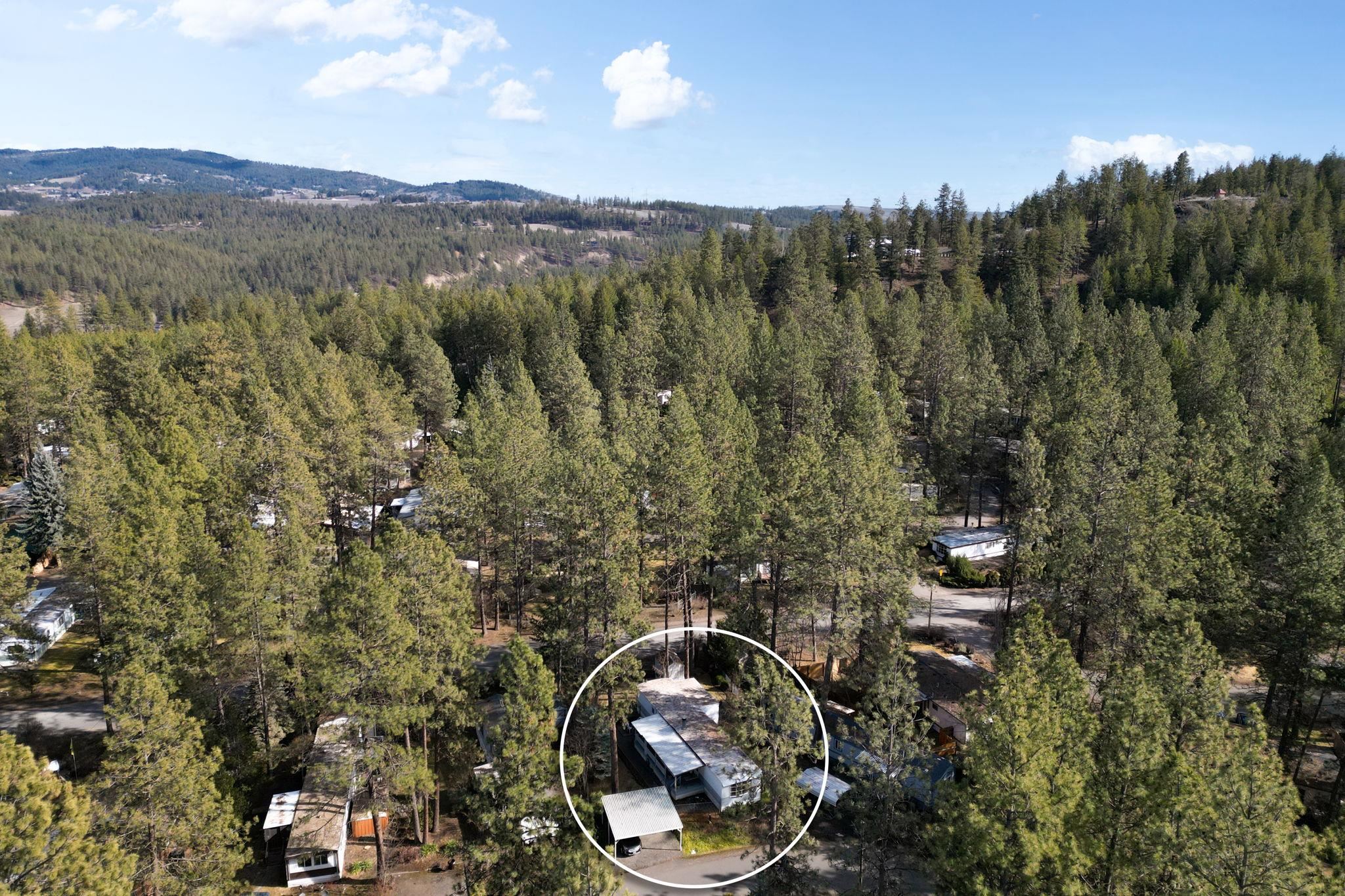 8900 South Mullen Hill Road, Unit 10 Spokane, WA 99224 - Photo 10 of 35 Gallery Image 10