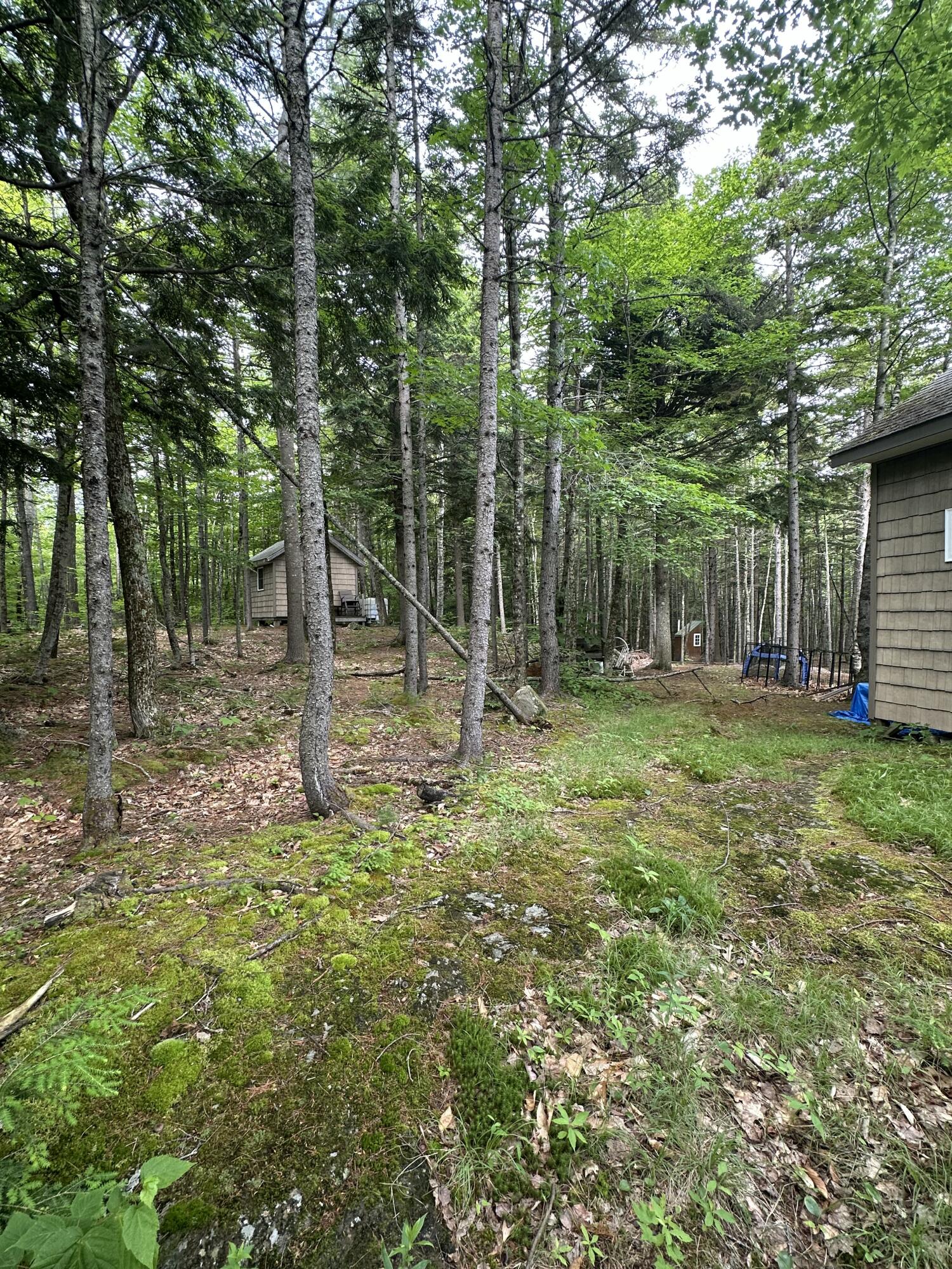 322 Lamb Road Roxbury, ME 04275 - Photo 23 of 39 IMG_2088