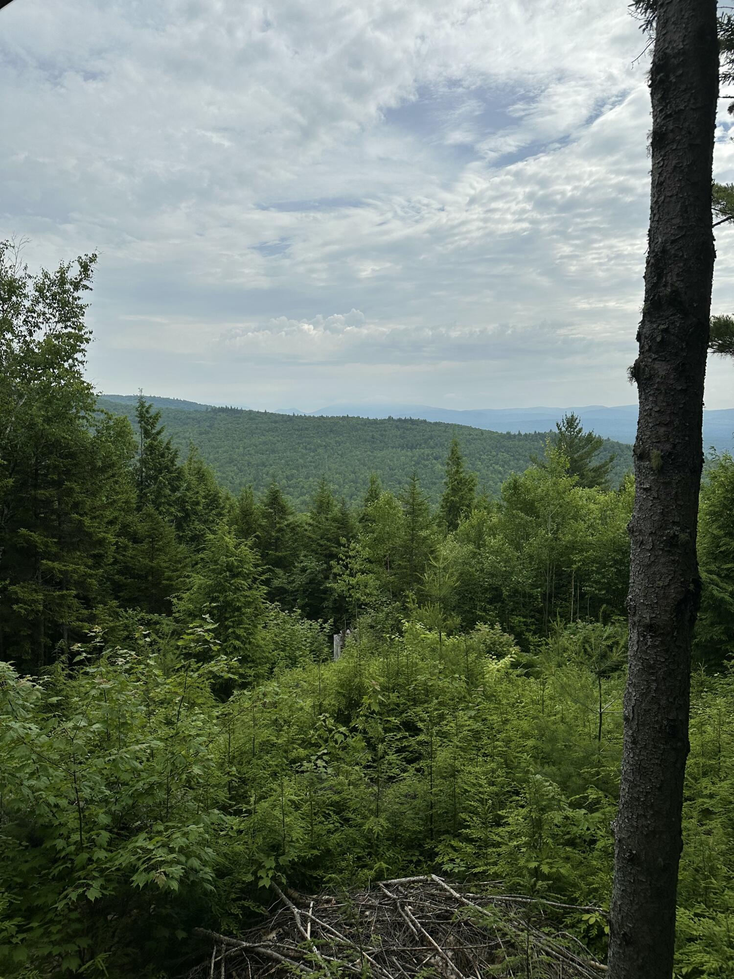 322 Lamb Road Roxbury, ME 04275 - Photo 34 of 39 IMG_2099