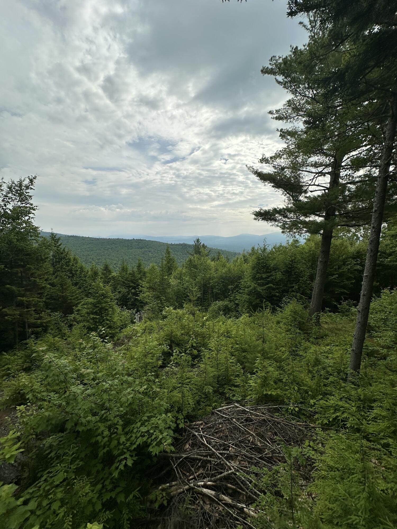 322 Lamb Road Roxbury, ME 04275 - Photo 36 of 39 IMG_2101