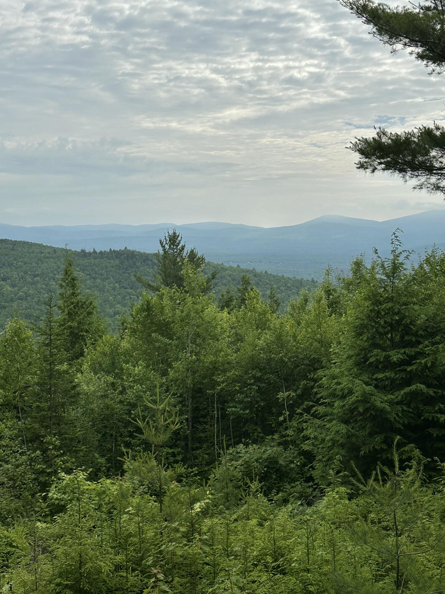 322 Lamb Road Roxbury, ME 04275 - Photo 37 of 39 IMG_2102