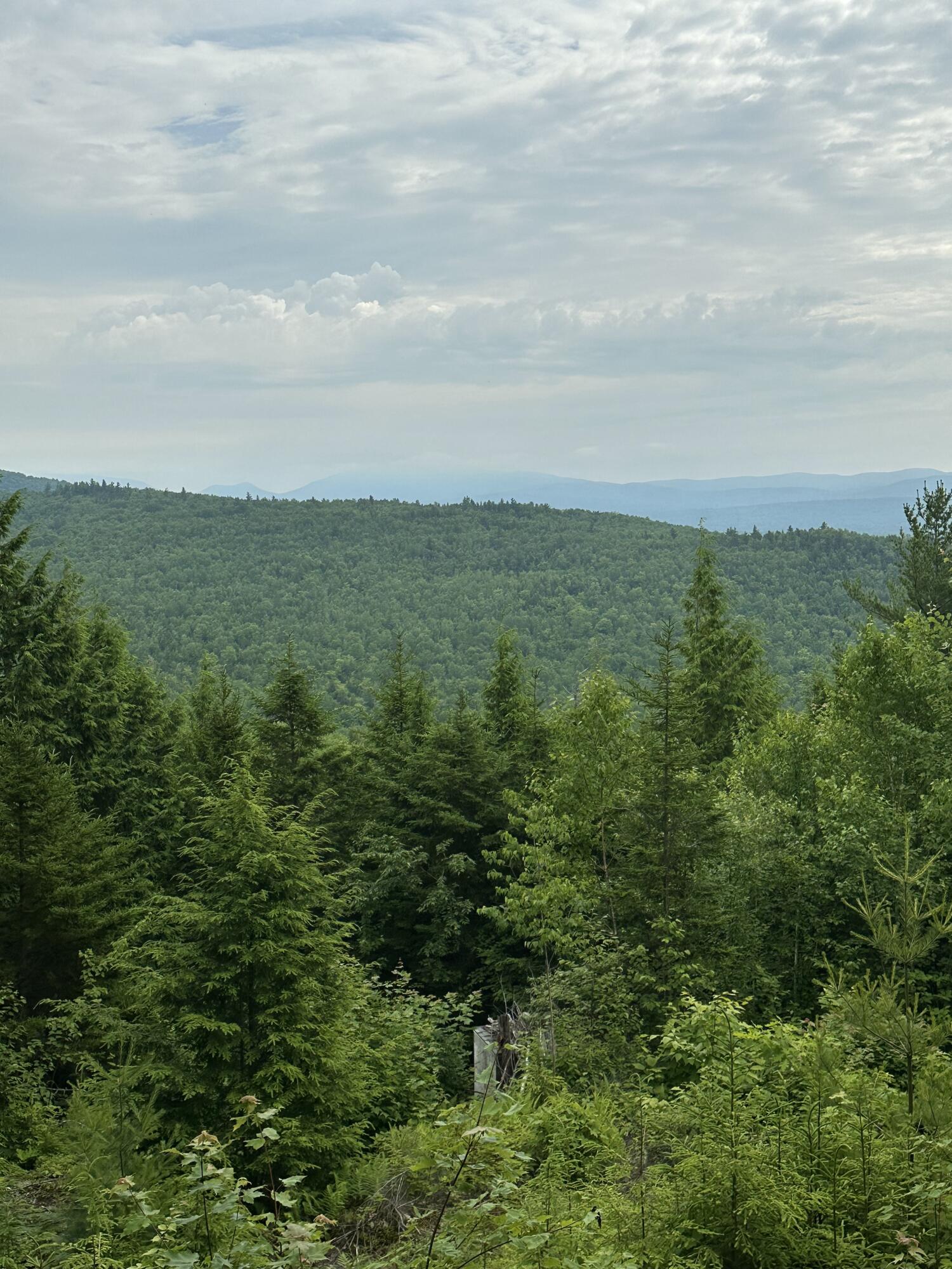 322 Lamb Road Roxbury, ME 04275 - Photo 38 of 39 IMG_2103