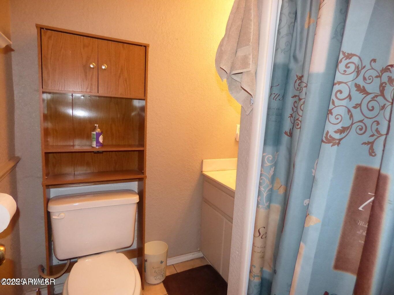 2537 Spring Drive Lakeside, AZ 85929 - Photo 29 of 63 20250724231537118528000000-o