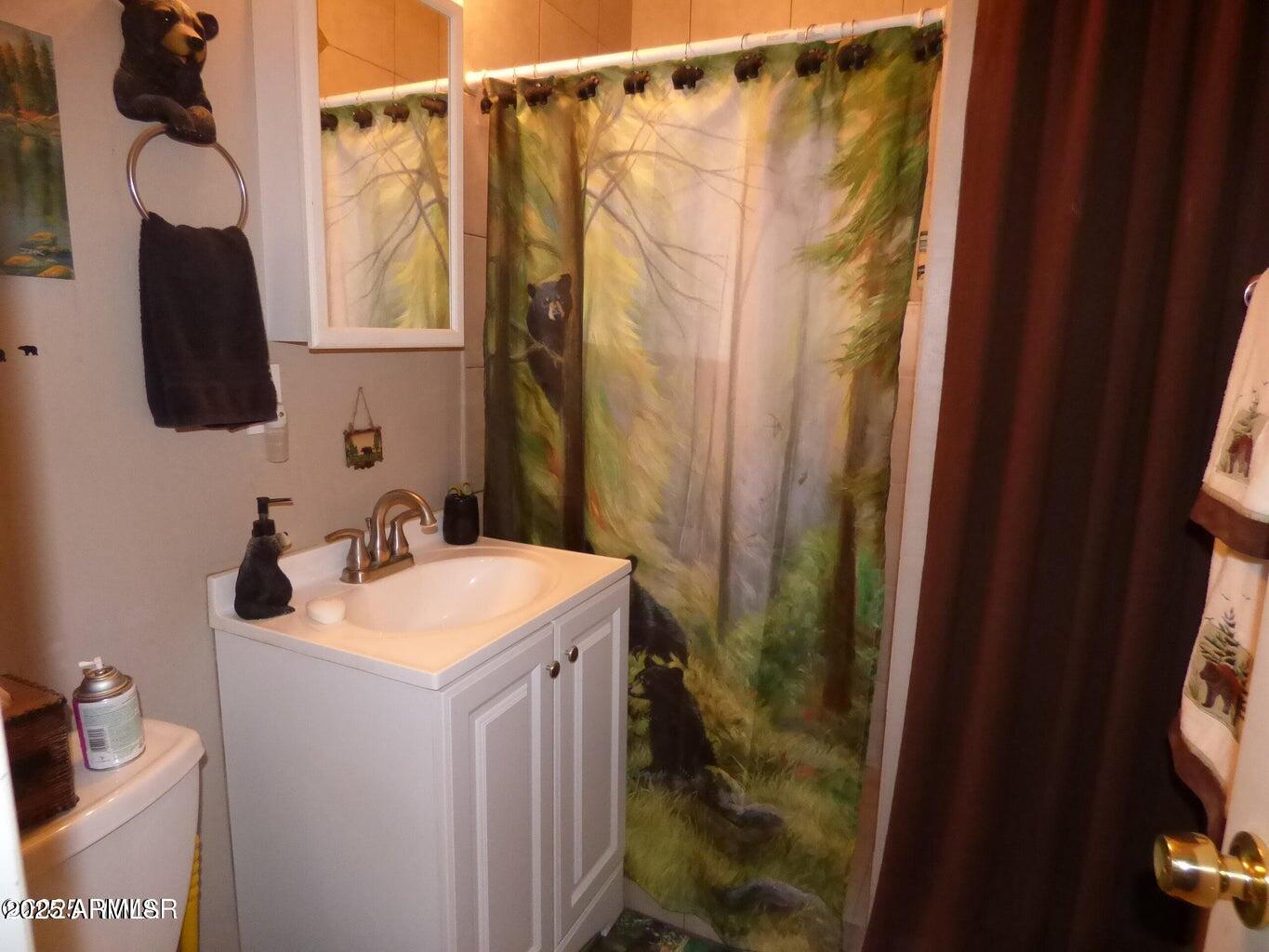 2537 Spring Drive Lakeside, AZ 85929 - Photo 32 of 63 20250724231445704362000000-o