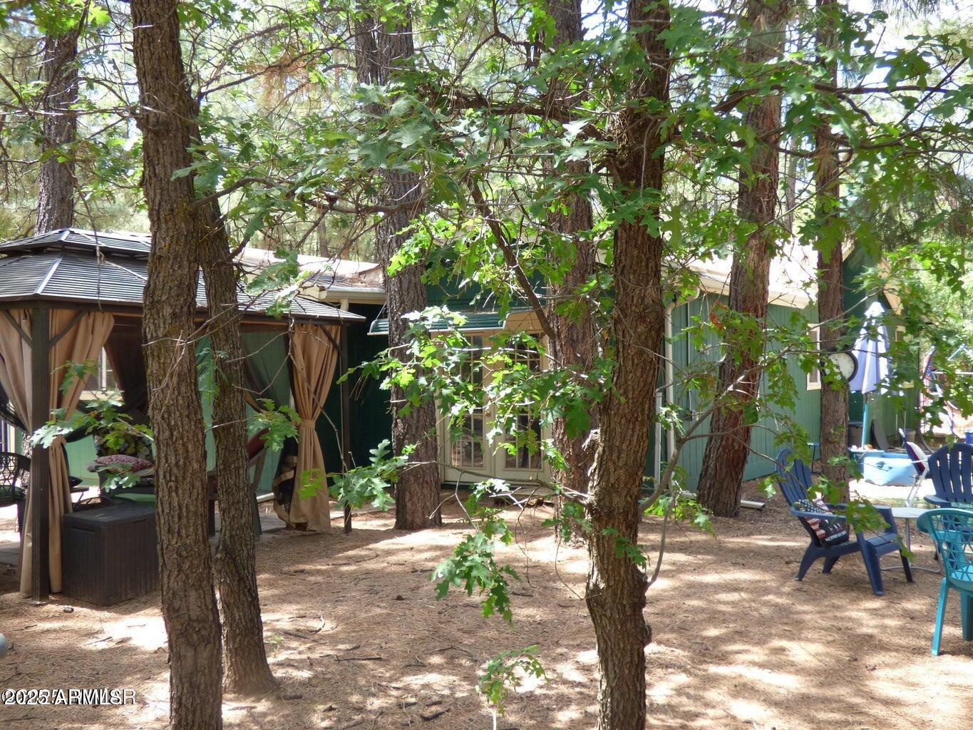 2537 Spring Drive Lakeside, AZ 85929 - Photo 49 of 63 20250724231824840304000000-o