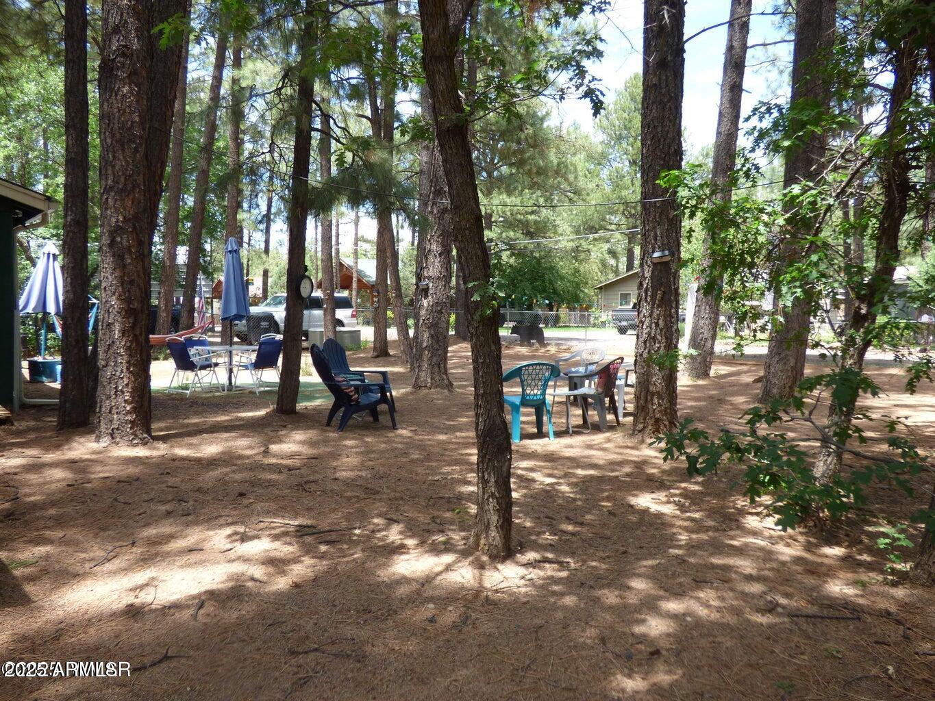 2537 Spring Drive Lakeside, AZ 85929 - Photo 51 of 63 20250724231814580890000000-o