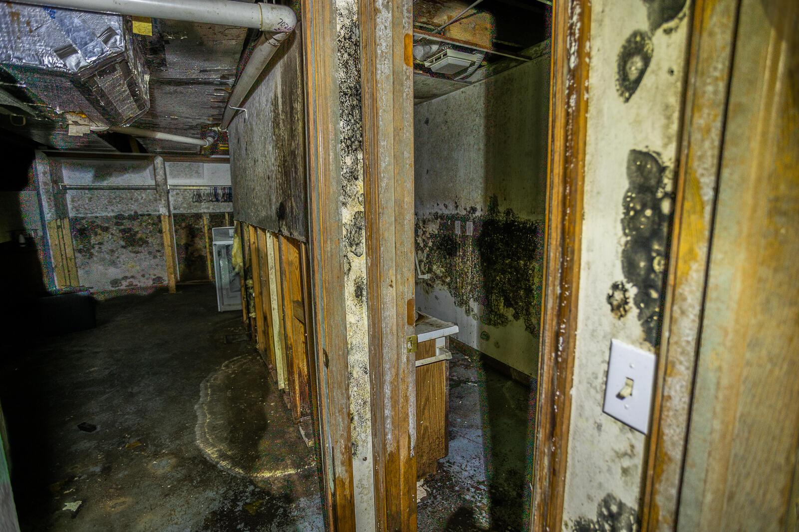 706 Harding Road Marion, OH 43302 - Photo 47 of 62 706 Harding-46