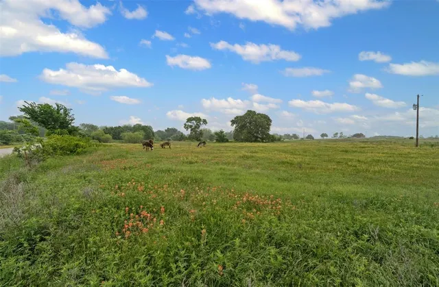a view of a big yard with lots of green space