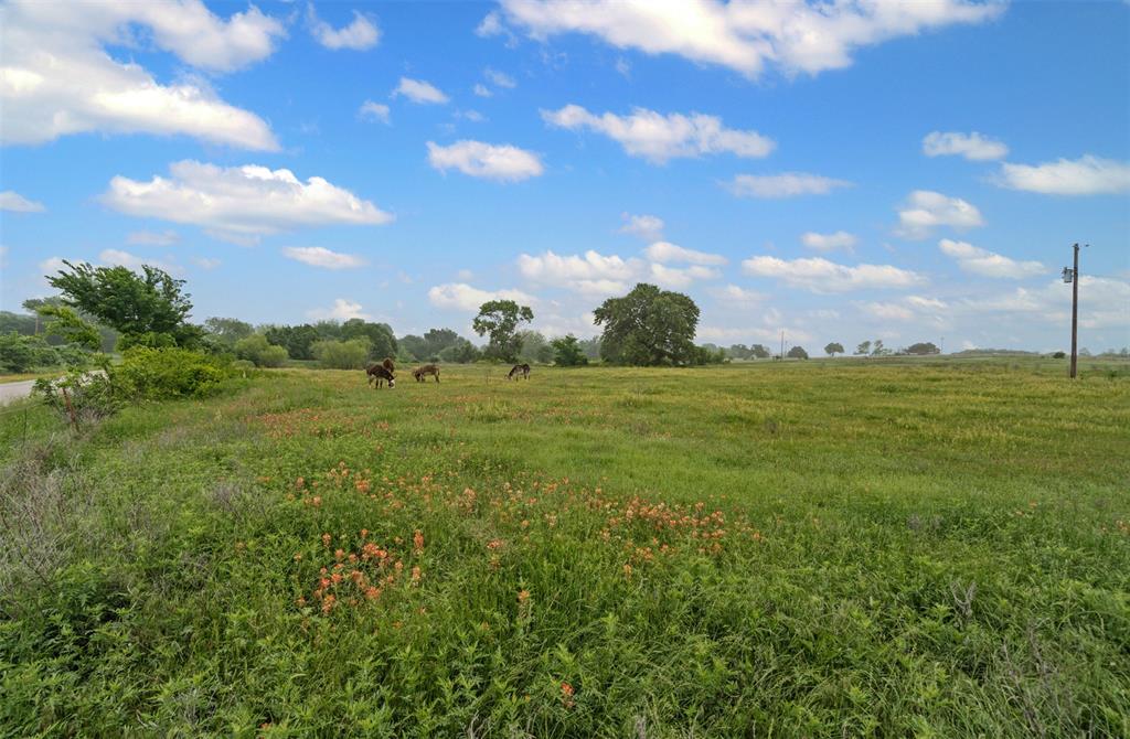 245 County Road 3696 Springtown, TX 76082 - Photo 23 of 29 a view of a big yard with lots of green space