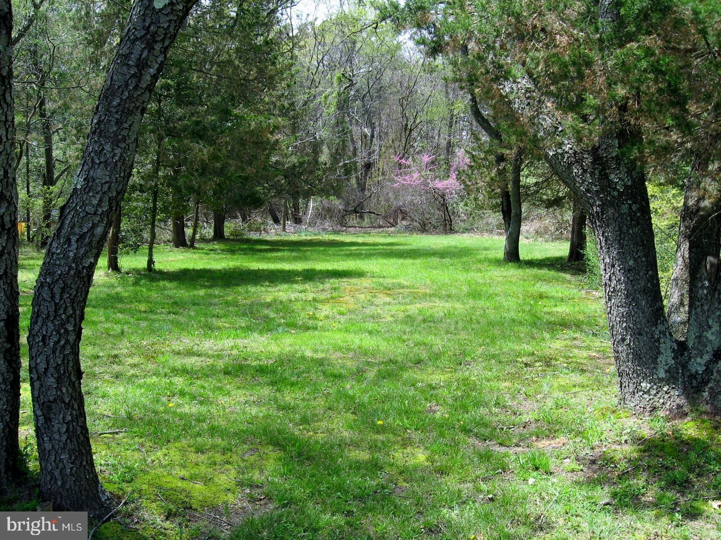 550 Diamond Road Jackson, NJ 08527 - Photo 21 of 22