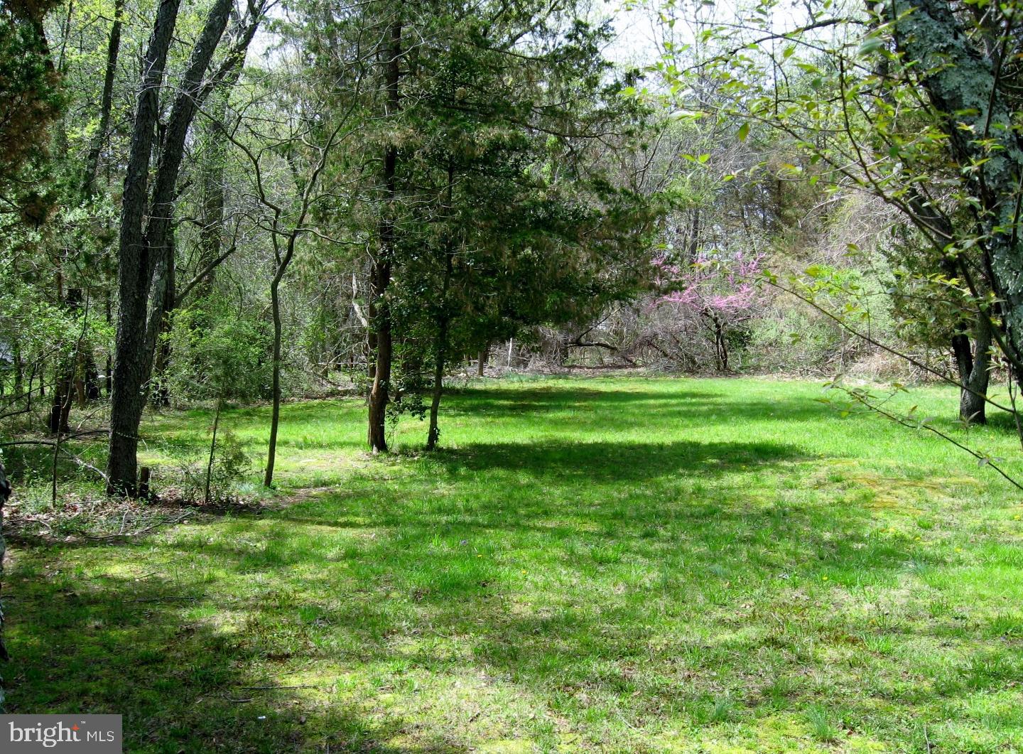 550 Diamond Road Jackson, NJ 08527 - Photo 22 of 22