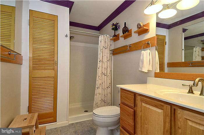 3837 Tremayne Terrace, Unit 17 Silver Spring, MD 20906 - Photo 10 of 30 Bath Master