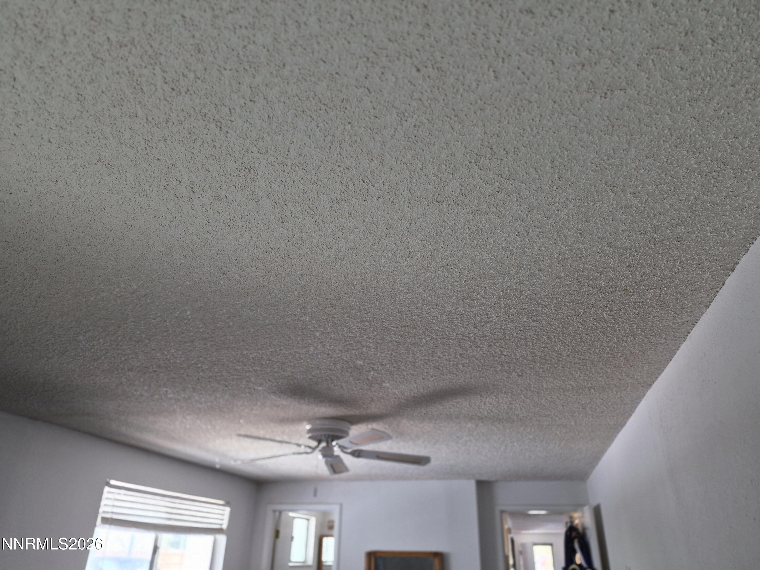1140 Pine Road Fallon, NV 89406 - Photo 16 of 23 PINE CEILING
