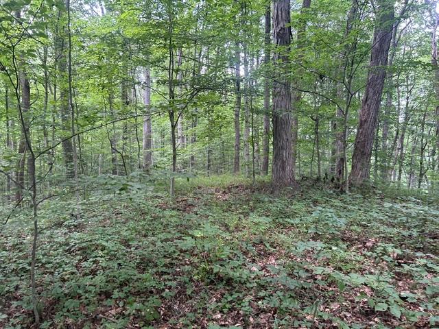 24229 Sanes Creek Road Laurel, IN 47024 - Photo 36 of 54