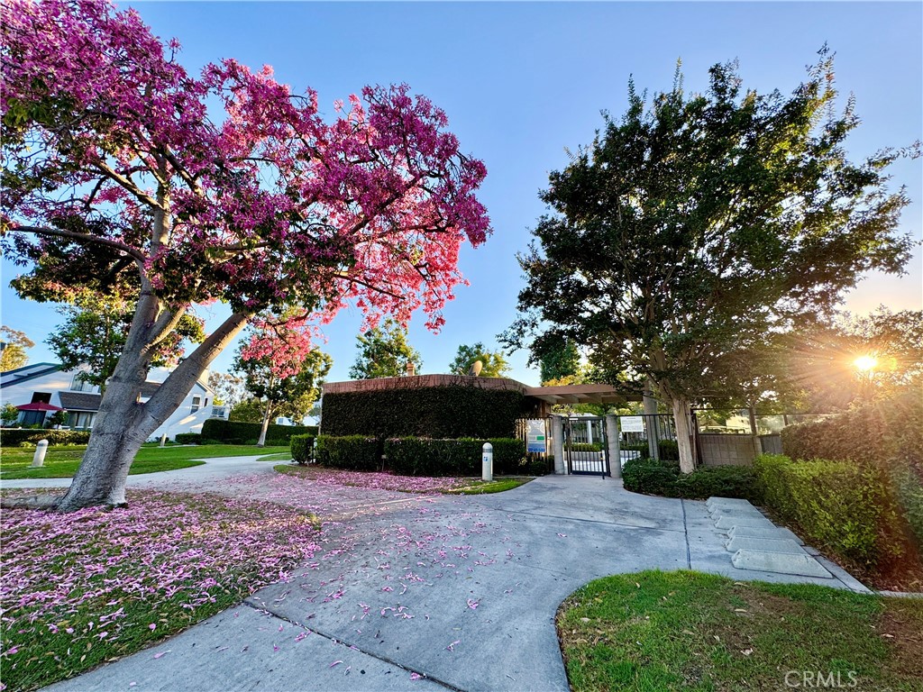 109 Fallingstar, Unit 61 Irvine, CA 92614 - Photo 32 of 34 a view of a backyard with a garden