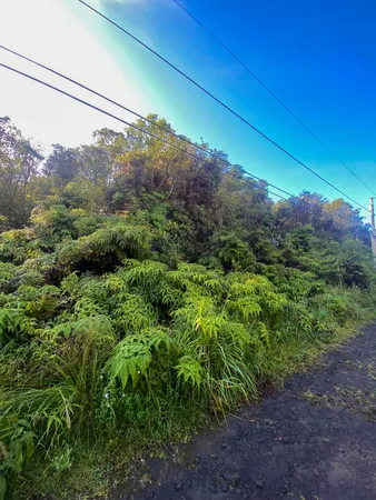 $9,500 | 18-1259 Lot 10 Kauai St Mountain View, Mountain View, HI 96771