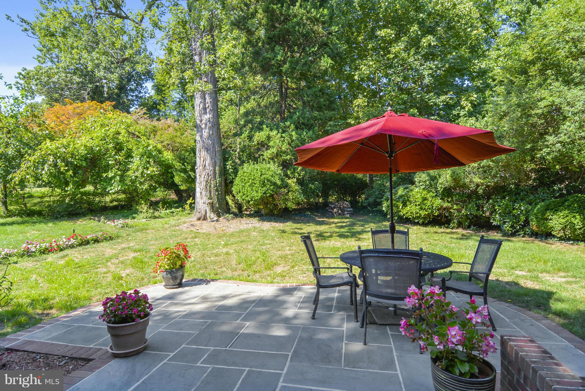 9108 16th Street Silver Spring, MD 20910 - Photo 4 of 27 Patio
