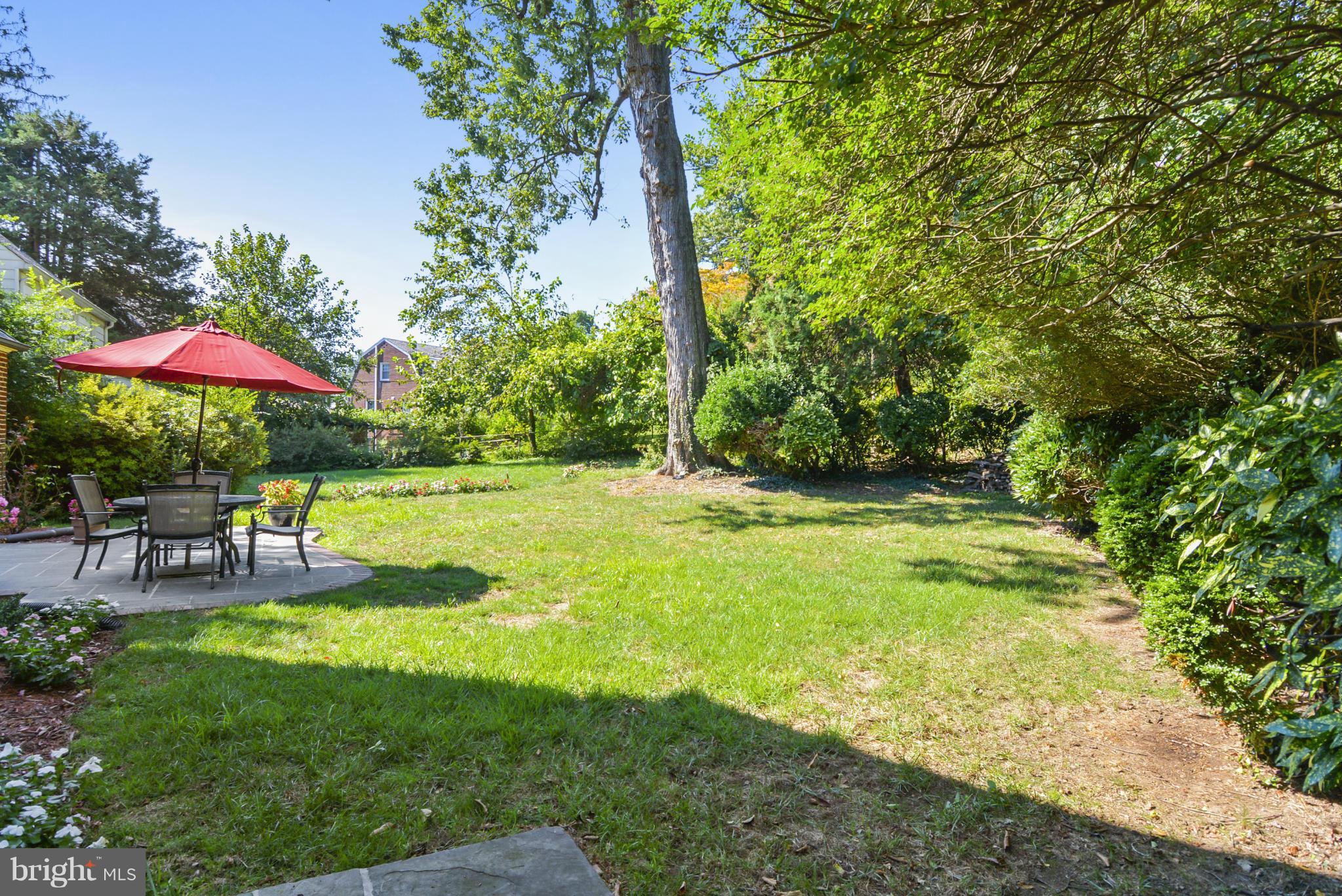 9108 16th Street Silver Spring, MD 20910 - Photo 5 of 27 Rear Yard