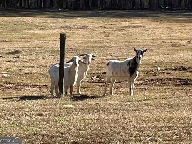 $1,500 | 4374 River Road, Manchester, GA 31816