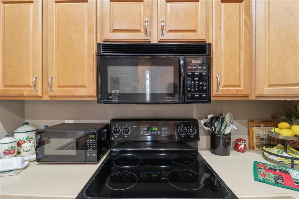1668 West Spring Meadow Loop Lecanto, FL 34461 - Photo 9 of 51