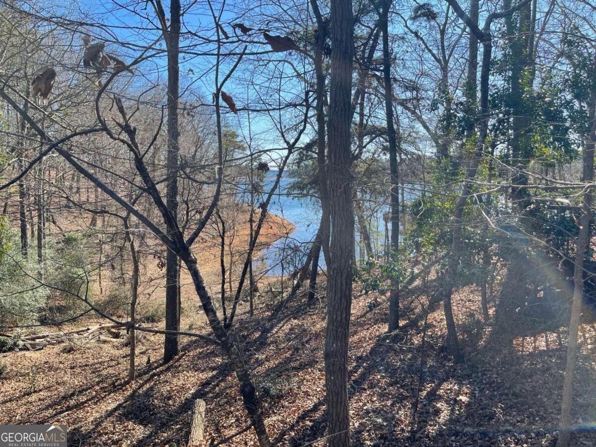 20 Clipper Circle Hartwell, GA 30643 - Photo 8 of 41