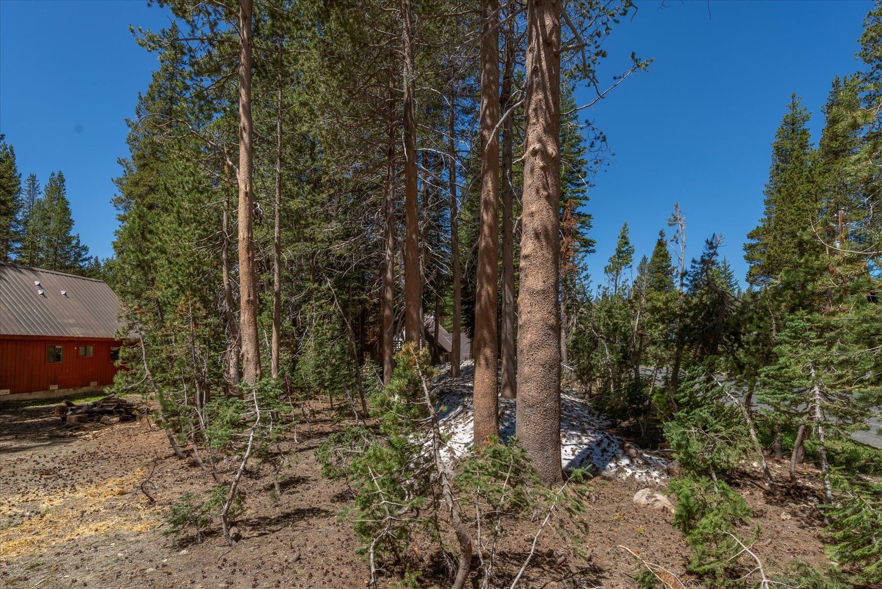 5595 Spruce Road Soda Springs, CA 95728 - Photo 14 of 21 Gallery Image 14