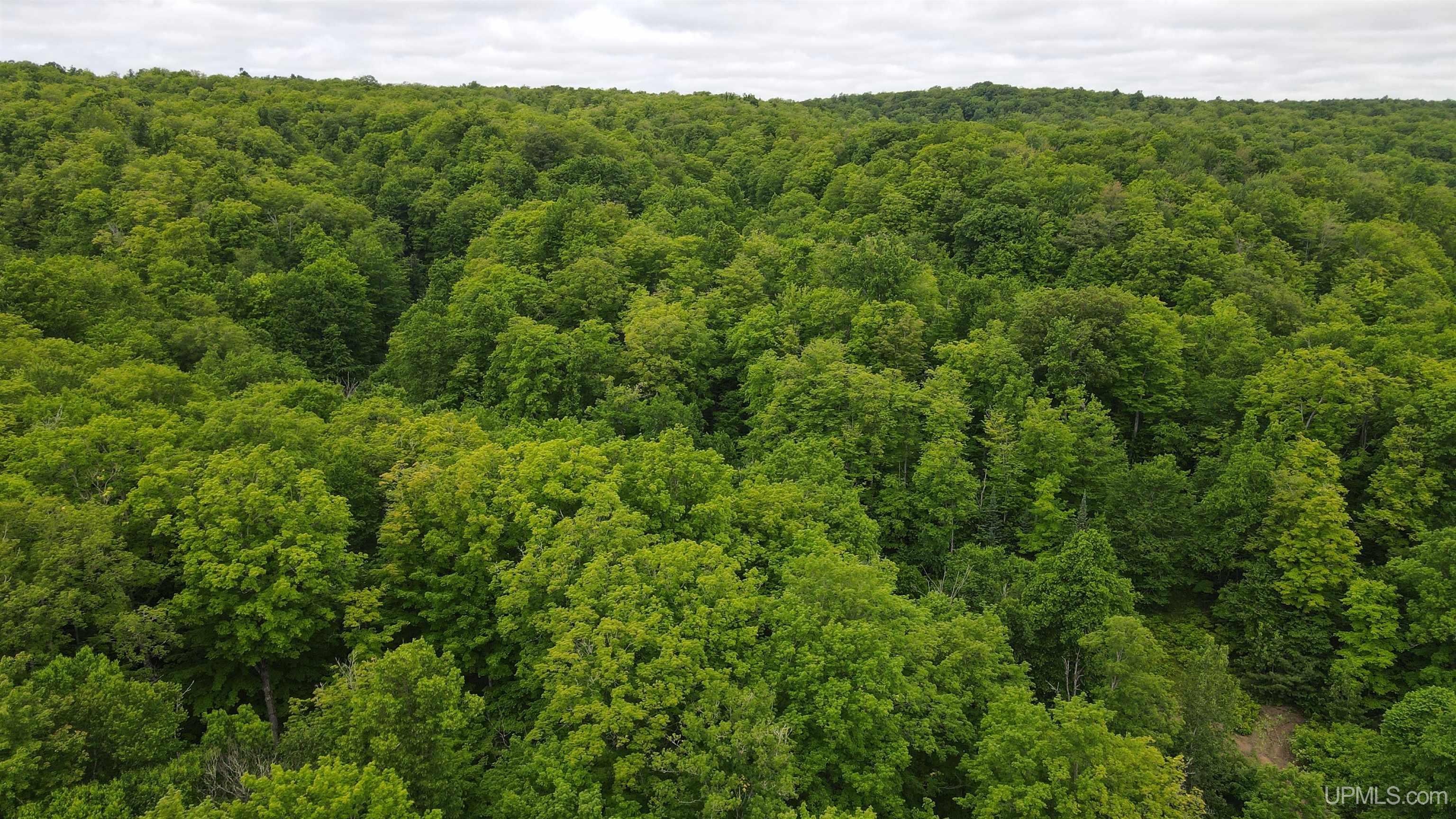 Tbd Donken-Tapiola Road Toivola, MI 49965 - Photo 10 of 12