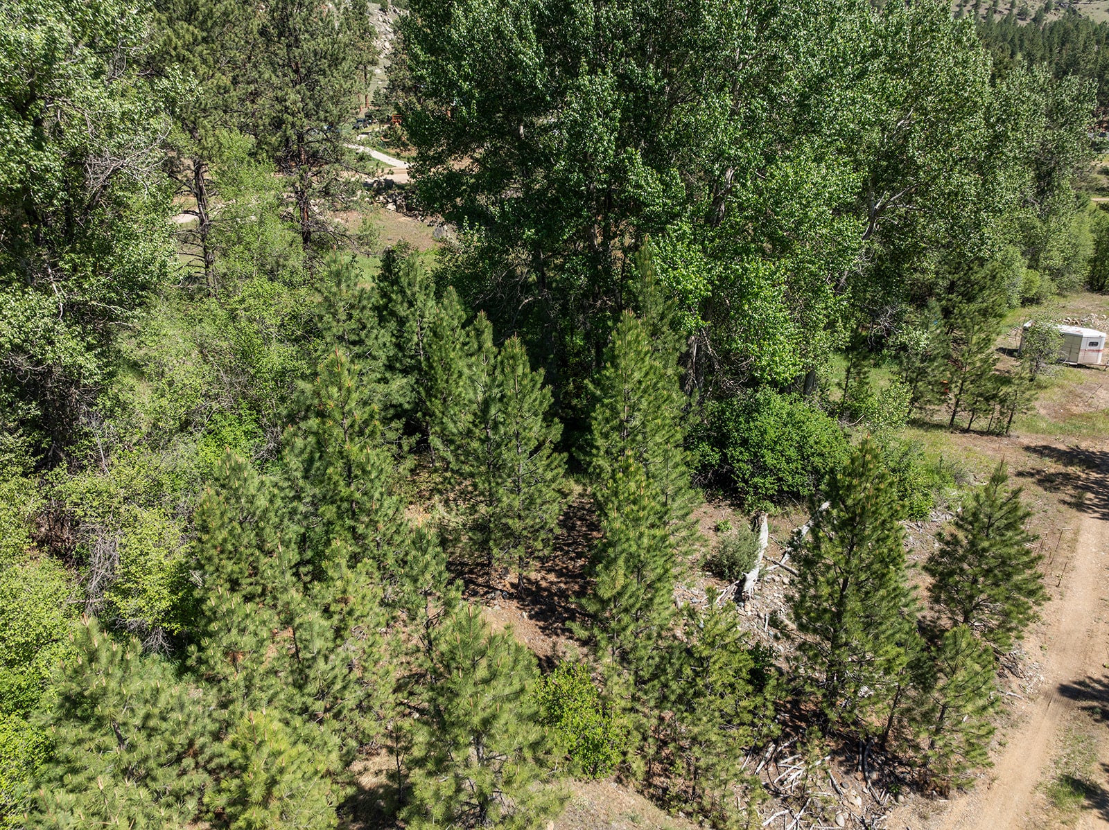Tbd Clancy Creek Road, Unit A5 Clancy, MT 59634 - Photo 17 of 49 Gallery Image 17