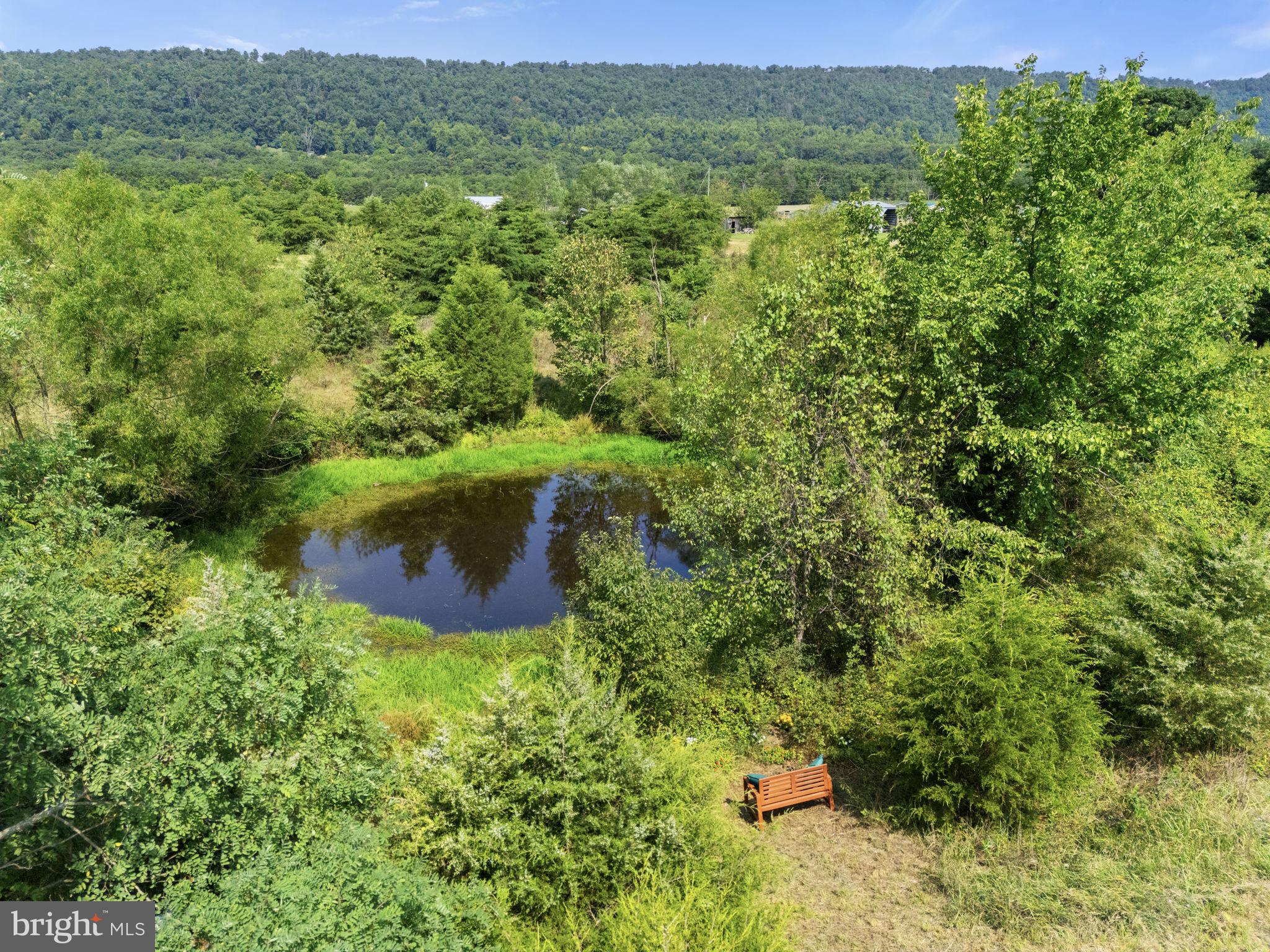0 Reunion Corner Road Gerrardstown, WV 25420 - Photo 13 of 17 Perfect setting to clear your mind!