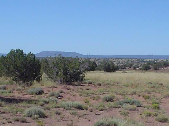 Lot 57 Woodridge Ranch Concho, AZ 85924 - Photo 1 of 5