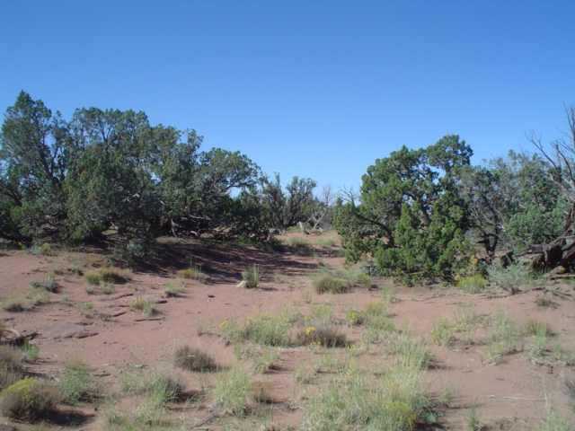 Lot 57 Woodridge Ranch Concho, AZ 85924 - Photo 2 of 5