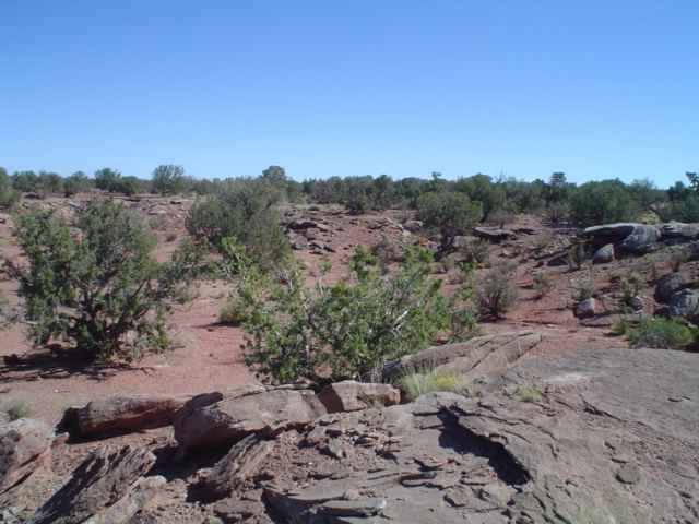 Lot 57 Woodridge Ranch Concho, AZ 85924 - Photo 3 of 5