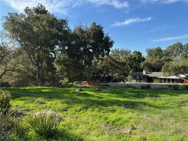 a view of a big yard with plants and large trees