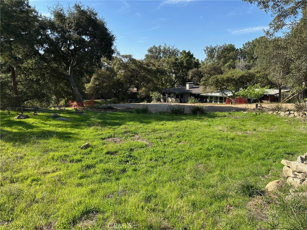 976 Ridgeside Drive Monrovia, CA 91016 - Photo 4 of 10 a view of a trees in a yard