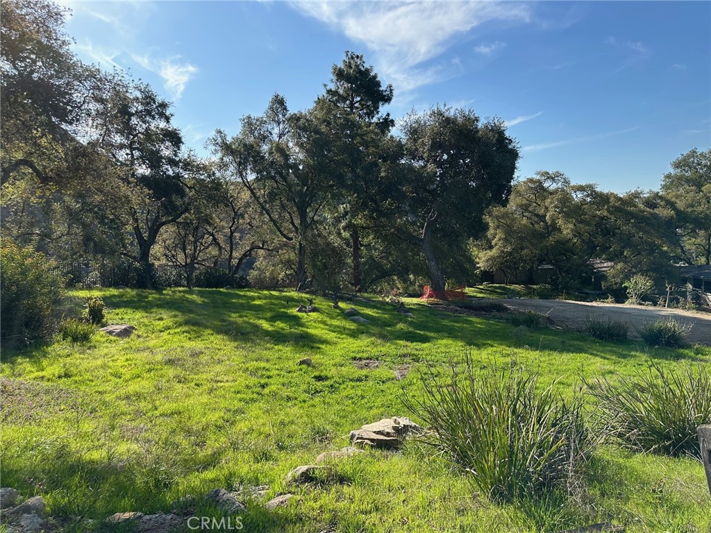 976 Ridgeside Drive Monrovia, CA 91016 - Photo 5 of 10 a view of backyard with green space
