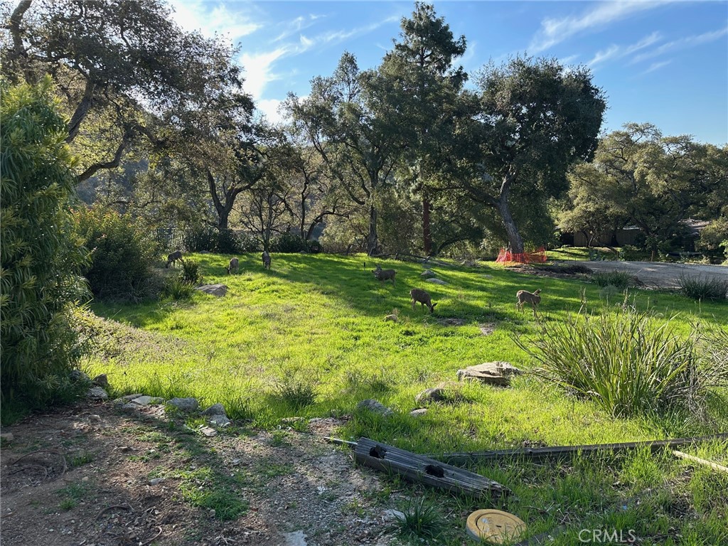 976 Ridgeside Drive Monrovia, CA 91016 - Photo 7 of 10 a backyard of a house with a yard and outdoor seating