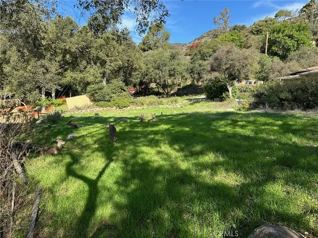 a view of a yard with a tree
