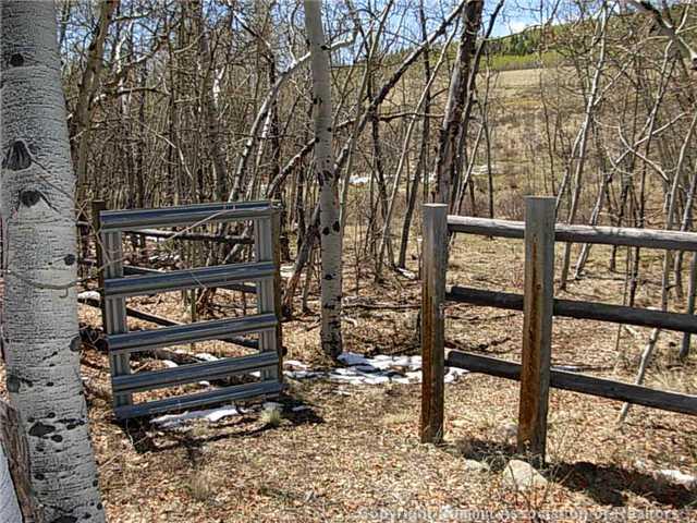 0 Round Hill Road Fairplay, CO 80440 - Photo 1 of 16 Gallery Image 1