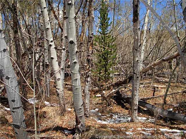 0 Round Hill Road Fairplay, CO 80440 - Photo 3 of 16 Gallery Image 3