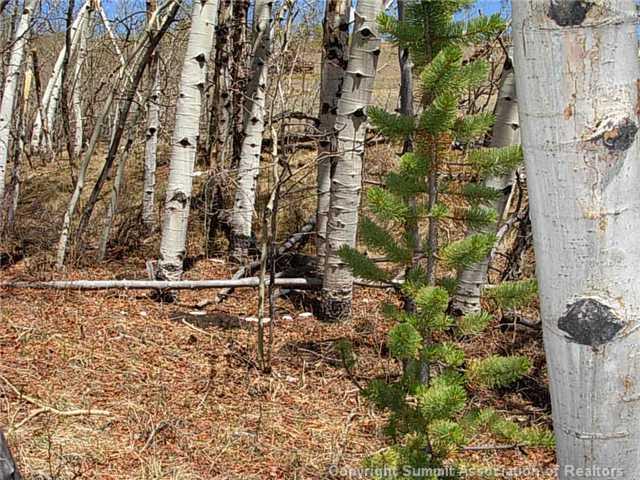0 Round Hill Road Fairplay, CO 80440 - Photo 5 of 16 Gallery Image 5