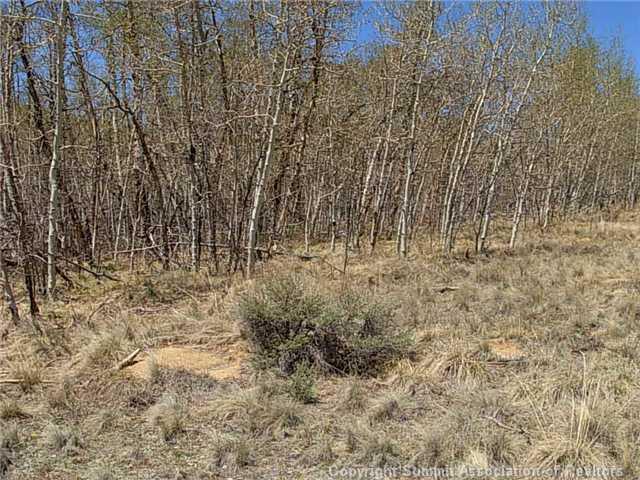 0 Round Hill Road Fairplay, CO 80440 - Photo 6 of 16 Gallery Image 6