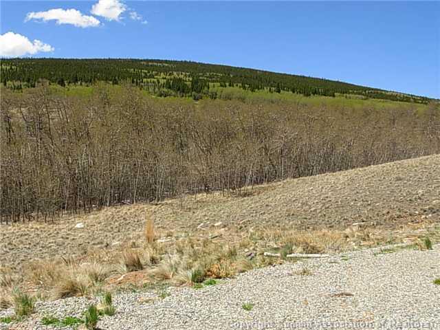 0 Round Hill Road Fairplay, CO 80440 - Photo 7 of 16 Gallery Image 7