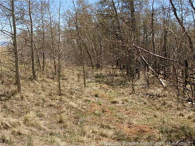 0 Round Hill Road Fairplay, CO 80440 - Photo 8 of 16 Gallery Image 8
