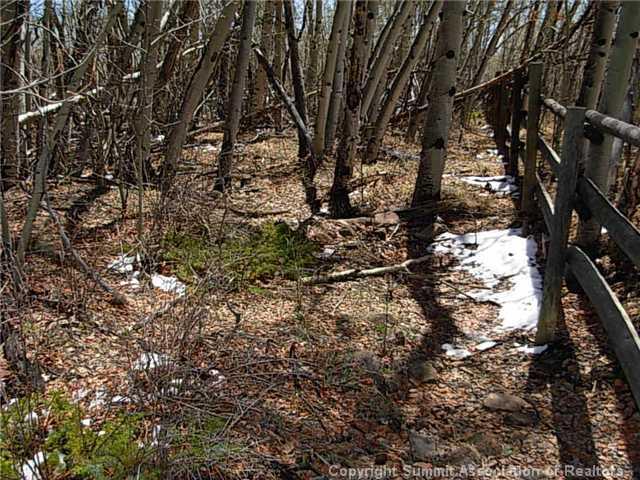0 Round Hill Road Fairplay, CO 80440 - Photo 10 of 16 Gallery Image 10