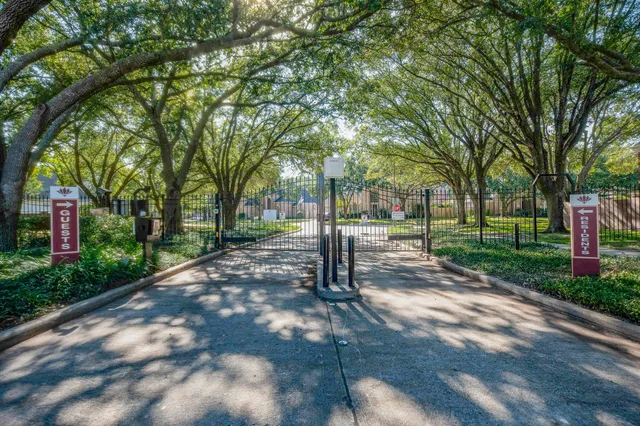 a view of park with large trees