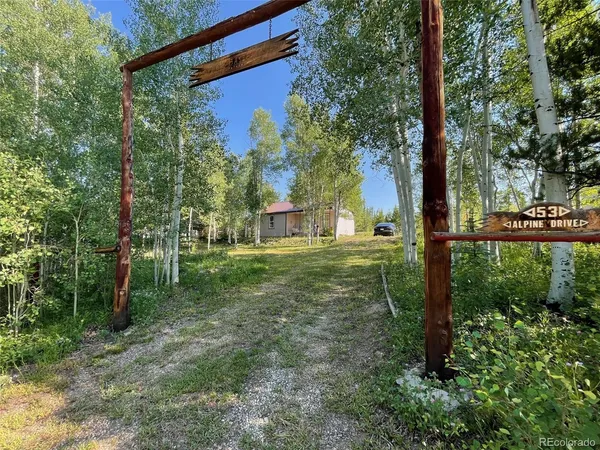 a view of a yard with large trees