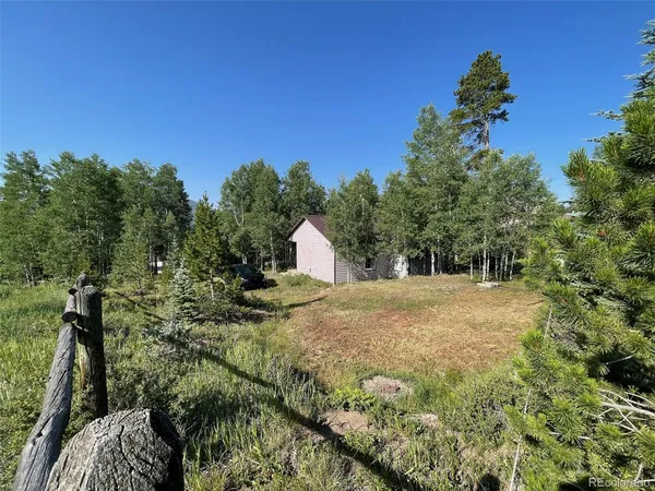 a view of a yard with trees