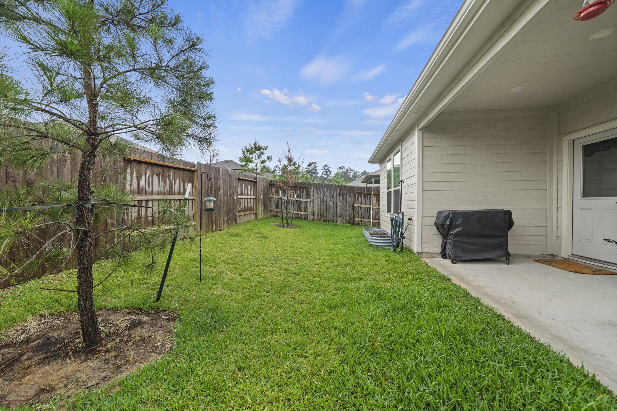 334 Maple Bark Trail Willis, TX 77378 - Photo 22 of 26 Different view of the backyard.