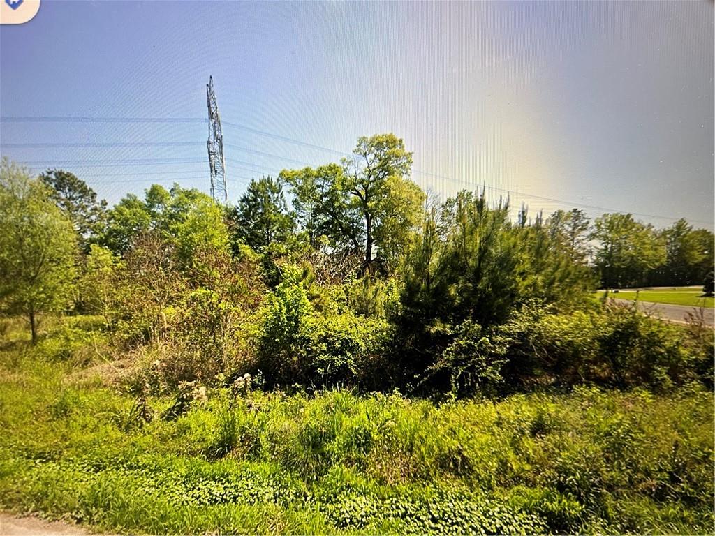 33870 Perkins Crossing Road Walker, LA 70785 - Photo 1 of 3